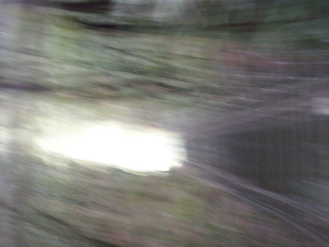 p1000364.jpg