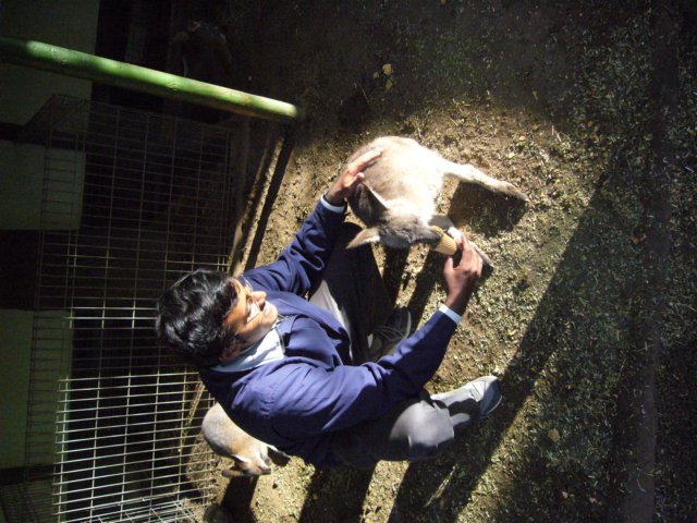 p1000396.jpg