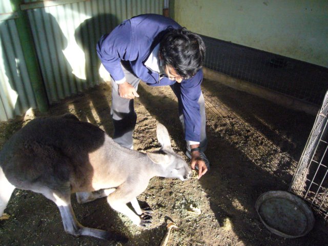 p1000403.jpg