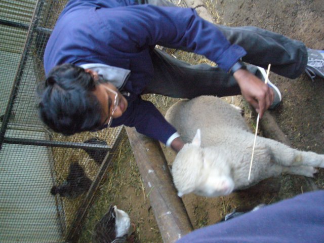 p1000412.jpg