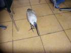 picture003_small.jpg