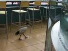 picture005_small.jpg