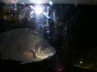 picture011_small.jpg