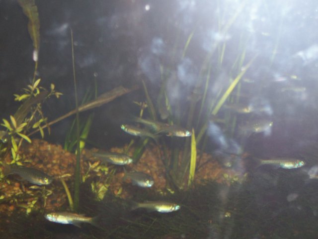 picture012.jpg