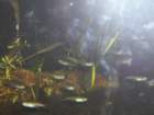 picture012_small.jpg