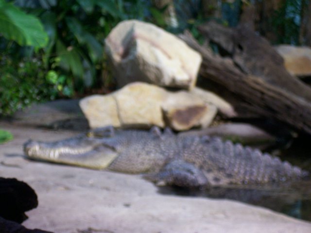 picture016.jpg
