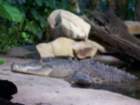 picture016_small.jpg