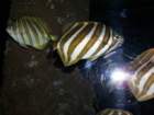 picture025_small.jpg