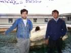 picture031_small.jpg