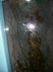 picture034_small.jpg