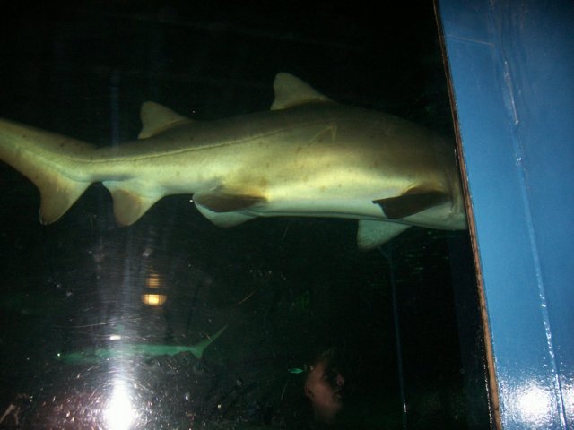 picture038.jpg