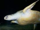 picture040_small.jpg