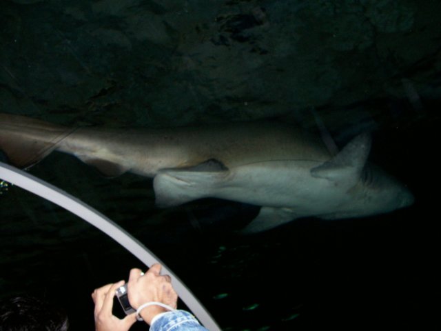 picture041.jpg