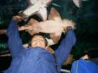 picture050_small.jpg
