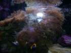 picture053_small.jpg