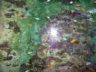 picture055_small.jpg