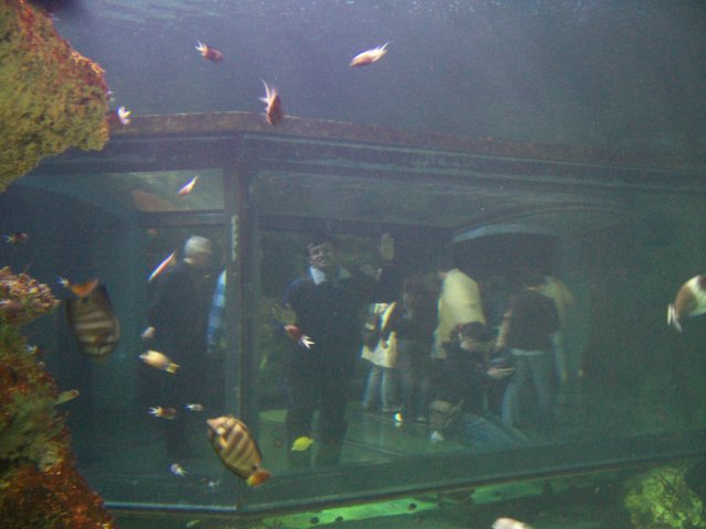 picture060.jpg