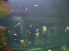 picture060_small.jpg
