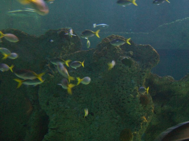 picture064.jpg