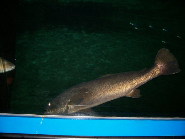 picture070.jpg