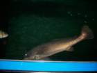 picture070_small.jpg