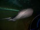 picture073_small.jpg