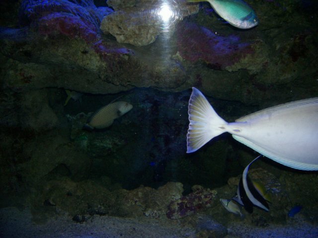 picture075.jpg