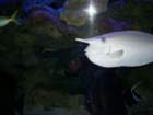 picture076_small.jpg