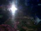 picture077_small.jpg