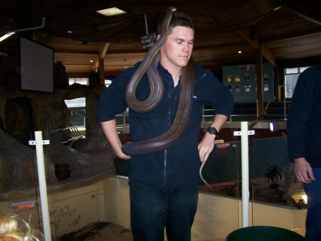 picture078.jpg