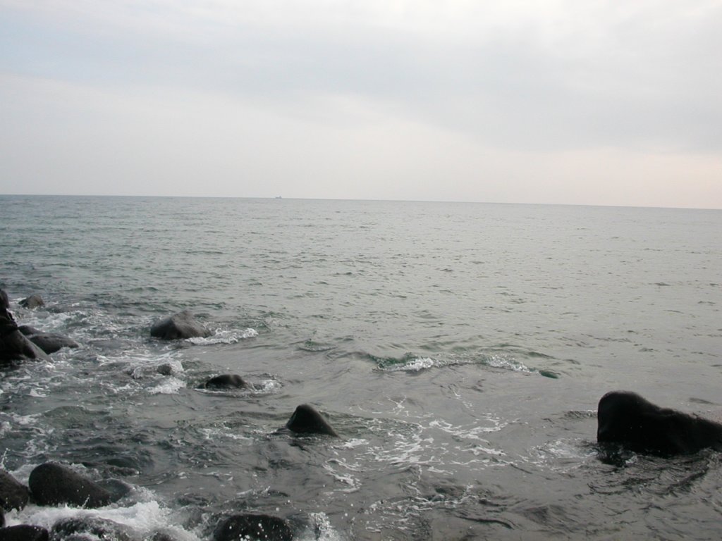 Photograph
