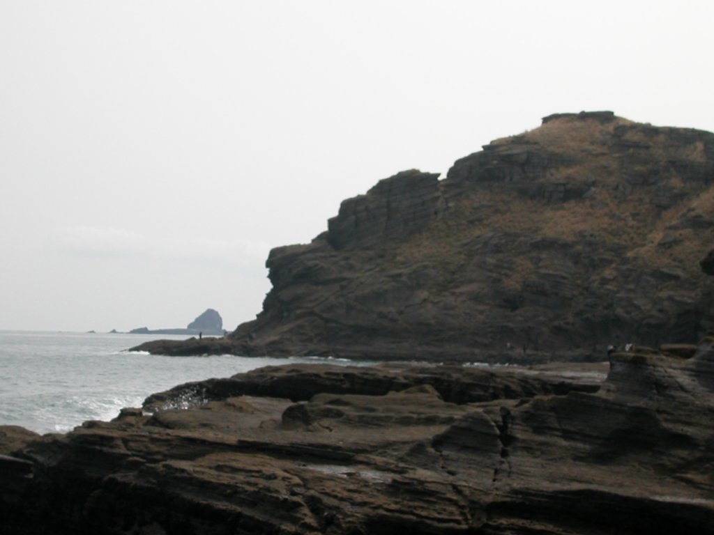 Photograph