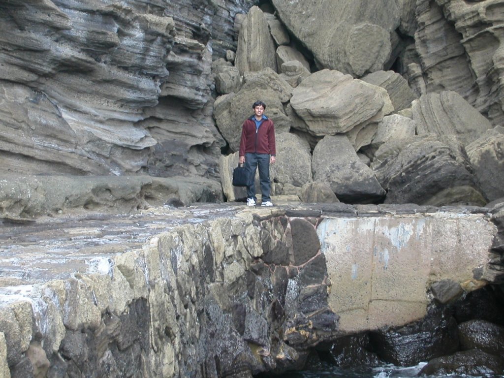 Photograph