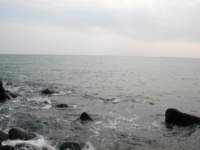 Photo Number 13