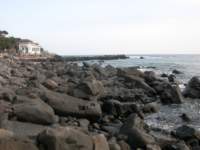 Photo Number 14