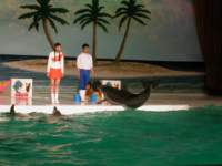 Photo Number 21