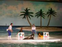 Photo Number 24