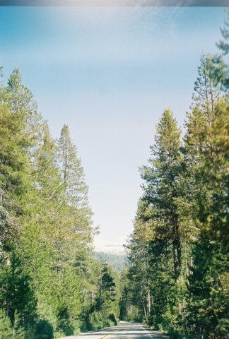 r604420a.jpg