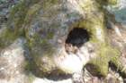 yosemeti006_small.jpg