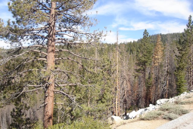 yosemeti044.jpg